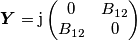 \boldsymbol{Y}=
\text{j}\begin{pmatrix}
0 & B_{12} \\
B_{12} & 0 
\end{pmatrix}
