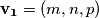 \mathbf{v_1} = (m,n,p)