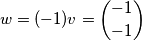 w=(-1)v=\binom{-1}{-1}