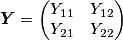 \boldsymbol{Y} = \begin{pmatrix}Y_{11} & Y_{12} \\ Y_{21} & Y_{22}\end{pmatrix} \boldsymbol{Y} = \begin{pmatrix}Y_{11} & Y_{12} \\ Y_{21} & Y_{22}\end{pmatrix}