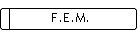 F.E.M.